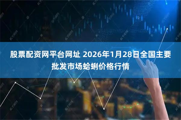 股票配资网平台网址 2026年1月28日全国主要批发市场蛤蜊价格行情
