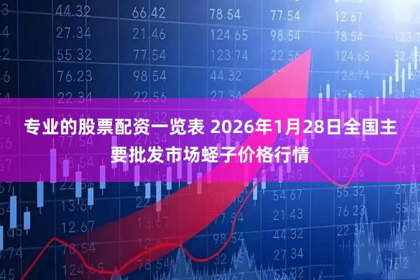 专业的股票配资一览表 2026年1月28日全国主要批发市场蛏子价格行情
